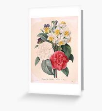 Camellias, Pansies, and Narcissus Greeting Card