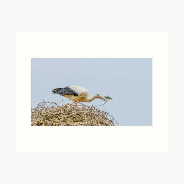 Item preview, Stork Nest Maintenance designed and sold by Ralph Goldsmith.