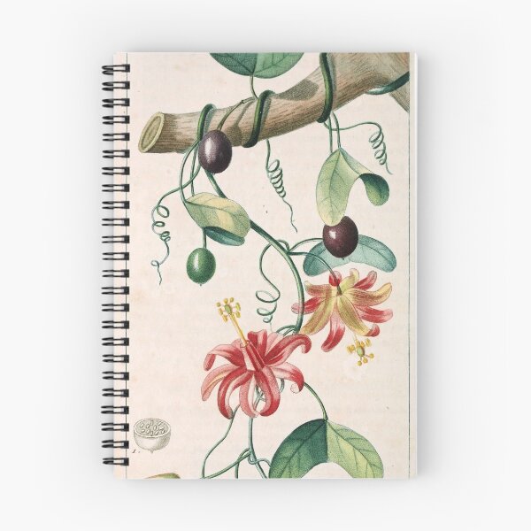 Item preview, Passiflora Murucuja designed and sold by FoolofaTook39.