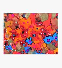 Candy Sprinkles Photographic Print