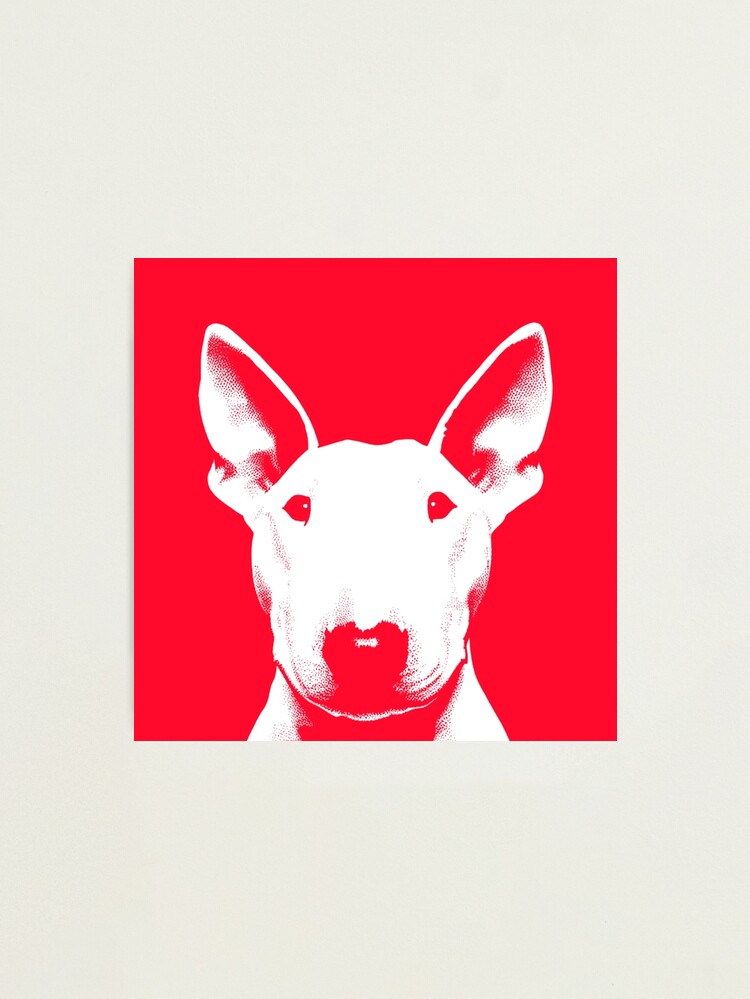 Thumbnail 1 of 3, Photographic Print, Bull Terrier White And Redish Pop Art Retro Chic Design For Bull Terrier Owners, Bull Terrier Moms, Bull Terrier Dads & Bull Terrier Lovers designed and sold by K9ish.