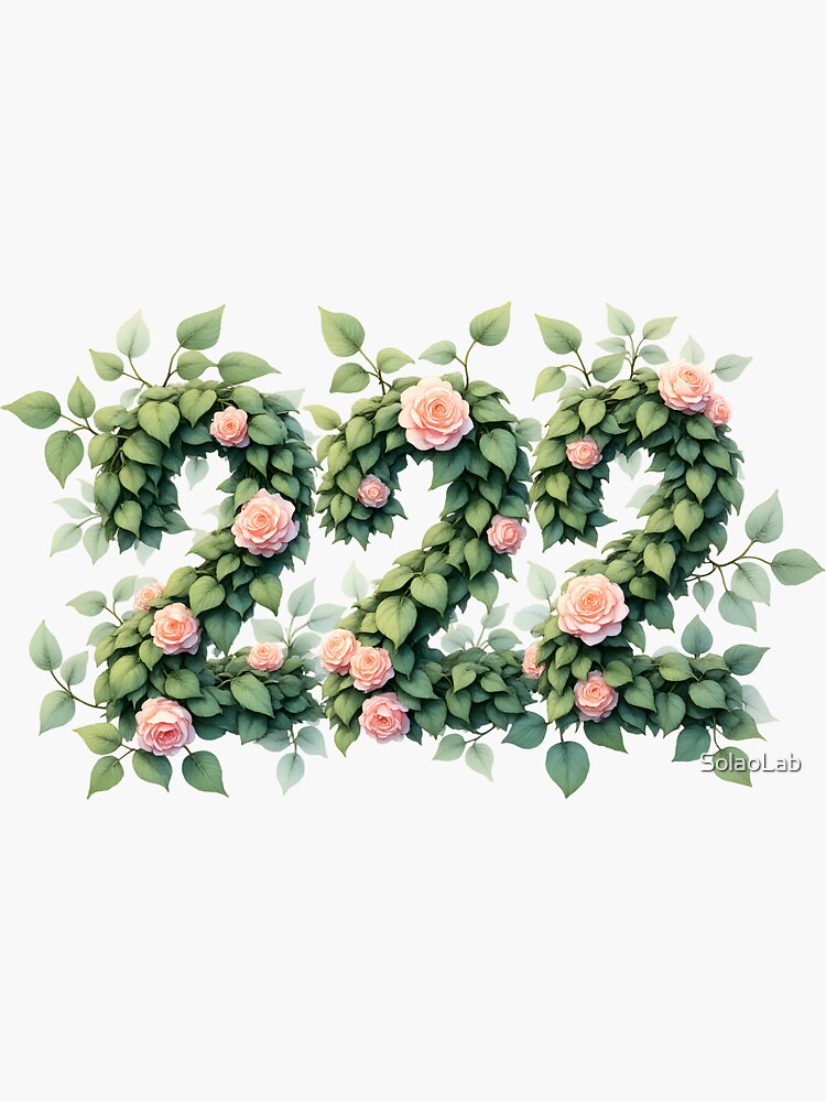 Angel Number 222 – BALANCE with Pink Roses