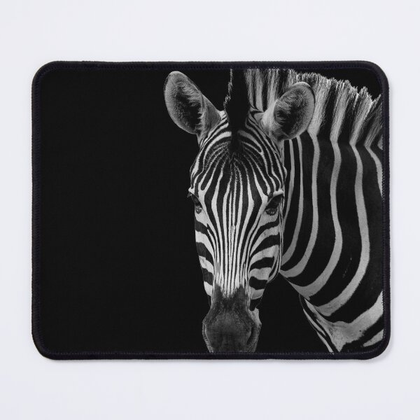 Item preview, Zebra with black background designed and sold by daljac.
