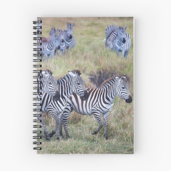 Item preview, Three Zebras in the Masai Mara Kenya designed and sold by PhotoArt by Joan Carroll.