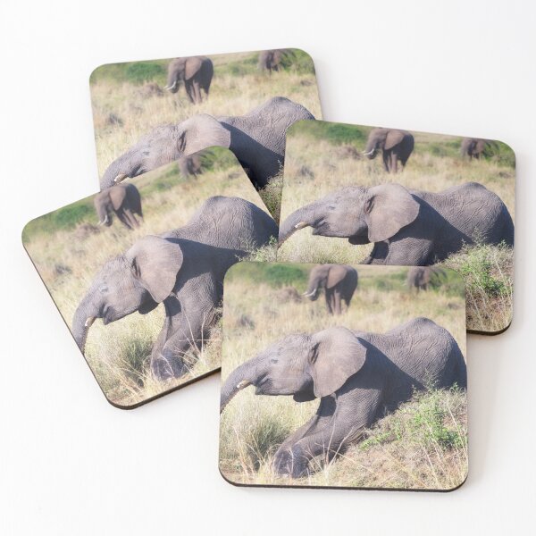 Item preview, A Good Scratch designed and sold by PhotoArt by Joan Carroll.