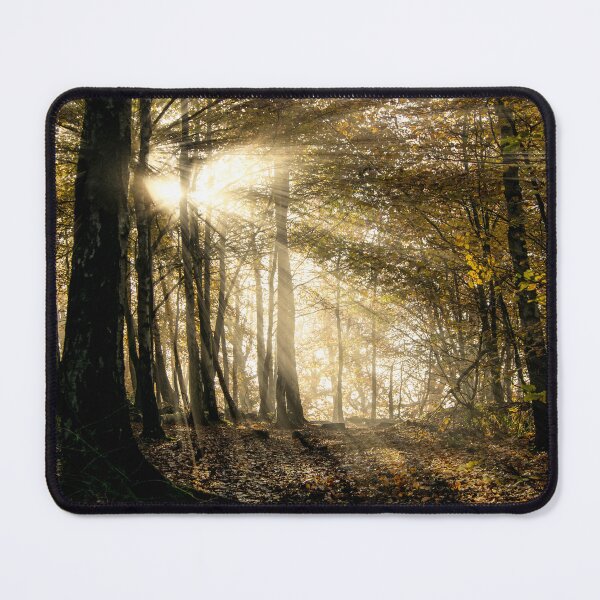Item preview, Sunrays through the trees at Coombs Wood designed and sold by TrudieSmith.