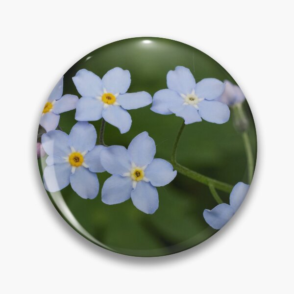 Item preview, Oh those blues. Wood forget-me-not designed and sold by Jouko Lehto Photography.