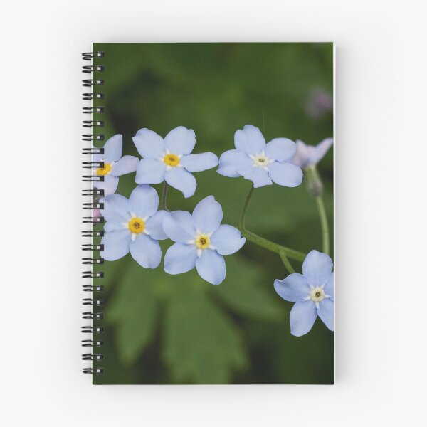Item preview, Oh those blues. Wood forget-me-not designed and sold by Jouko Lehto Photography.