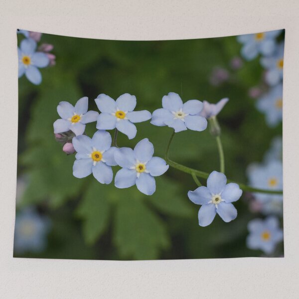 Item preview, Oh those blues. Wood forget-me-not designed and sold by Jouko Lehto Photography.