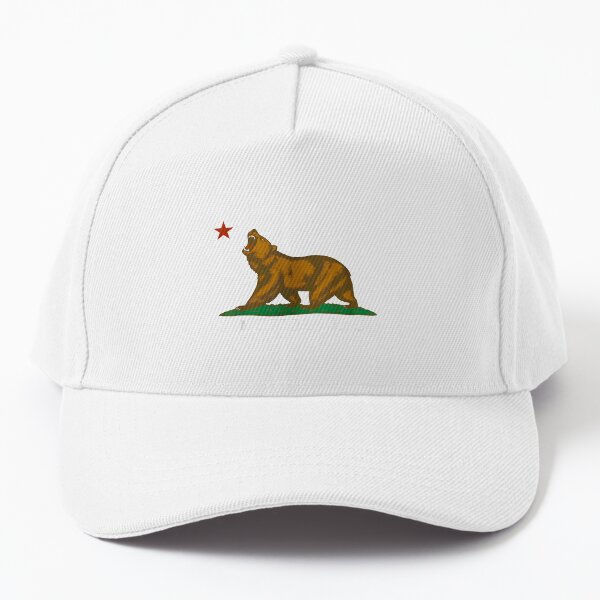 Aperçu de l'œuvre Ne nous marchez pas dessus, California Bear Patriotic créée et vendue par ivotee.