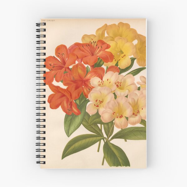 Item preview, Vintage New Japanese Rhododendrons designed and sold by Bruiserstang.