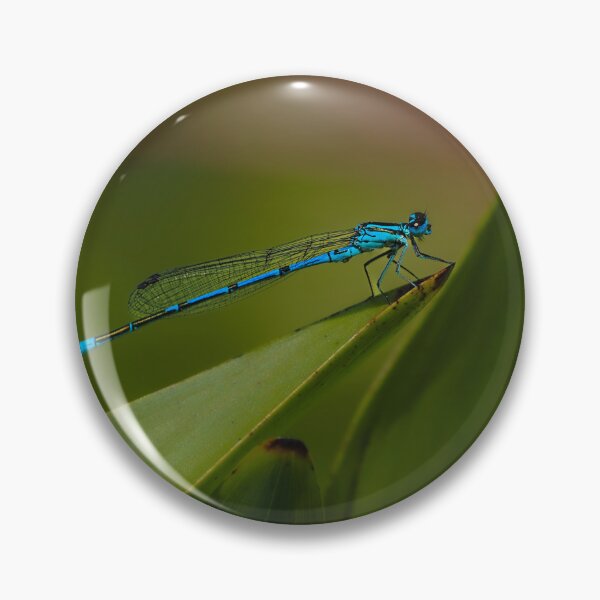Item preview, My name is Enallagma Cyathigerum designed and sold by Titphilou.