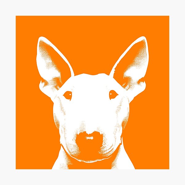 Bull Terrier White And Orange Pop Art Retro Chic Design For Bull Terrier Owners, Bull Terrier Moms, Bull Terrier Dads & Bull Terrier Lovers Photographic Print