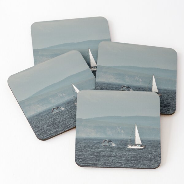 Item preview, Sailing with Dolphins designed and sold by Tom McPherson Photography.
