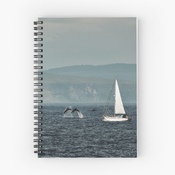 Item preview, Sailing with Dolphins designed and sold by Tom McPherson Photography.