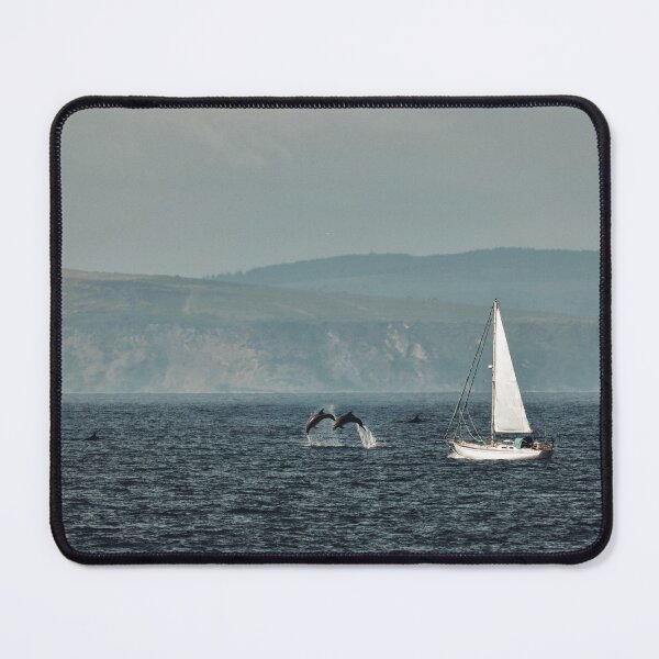 Item preview, Sailing with Dolphins designed and sold by Tom McPherson Photography.