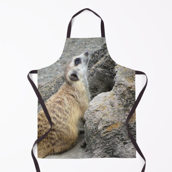 Item preview, Meerkat Looking Up designed and sold by ShutterbugBttns.