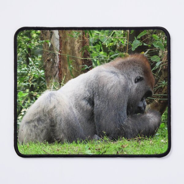 Item preview, Western Lowland Gorilla designed and sold by ShutterbugBttns.