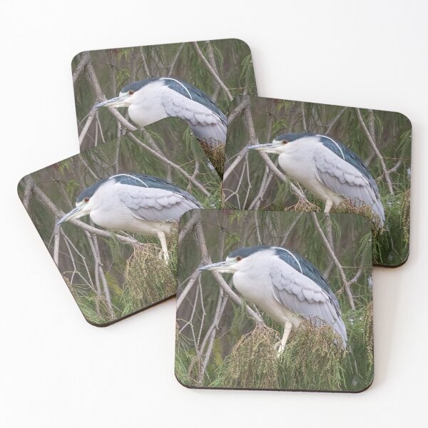Item preview, Black-Crowned Night Heron designed and sold by CarolM.