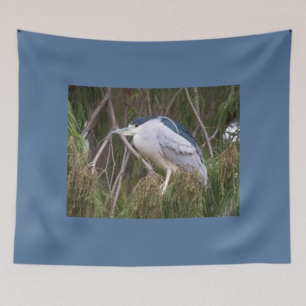 Item preview, Black-Crowned Night Heron designed and sold by CarolM.