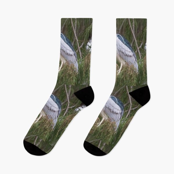 Item preview, Black-Crowned Night Heron designed and sold by CarolM.
