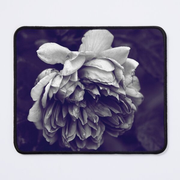 Item preview, Dark Rose designed and sold by ElderIslesPress.