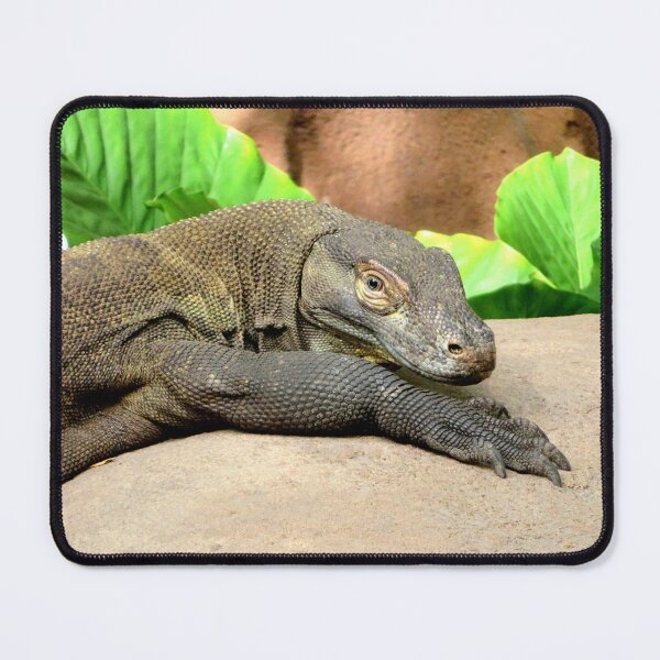 Item preview, Komodo Dragon designed and sold by ShutterbugBttns.