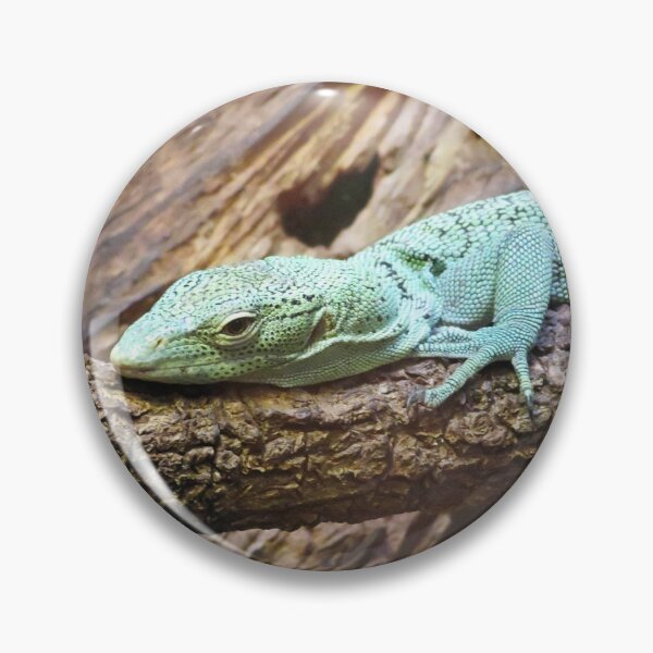 Item preview, Monitor Lizard designed and sold by ShutterbugBttns.