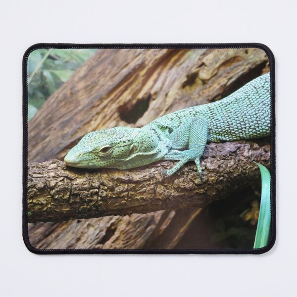 Item preview, Monitor Lizard designed and sold by ShutterbugBttns.