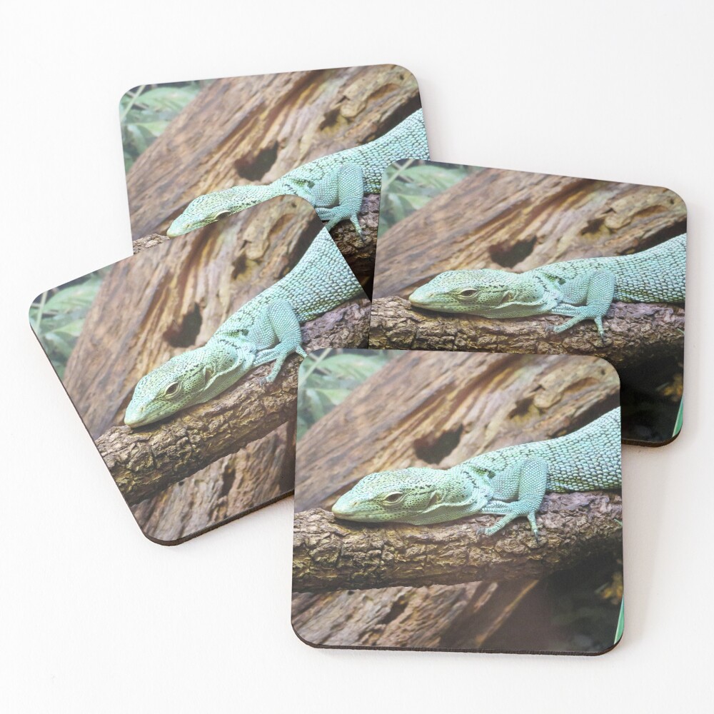 Item preview, Coasters (Set of 4) designed and sold by ShutterbugBttns.