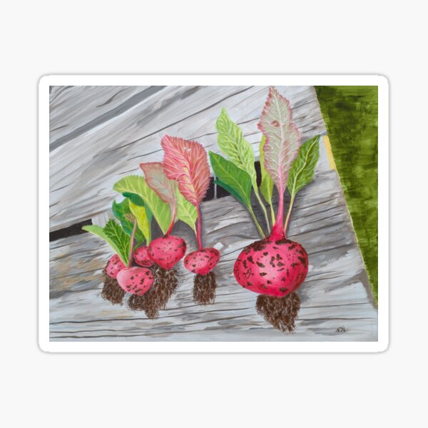 Item preview, Radishes on a Pallet designed and sold by DoodleArtsShop.