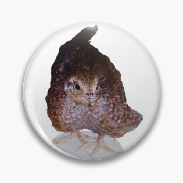 Item preview, A very young egyptian quail designed and sold by di-Vera-Rosati.