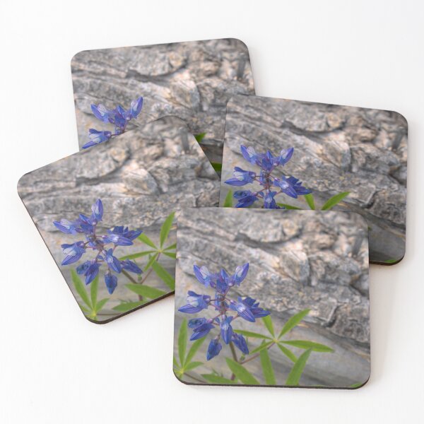 Item preview, Lupine and Fallen Log designed and sold by mahnkephotos.