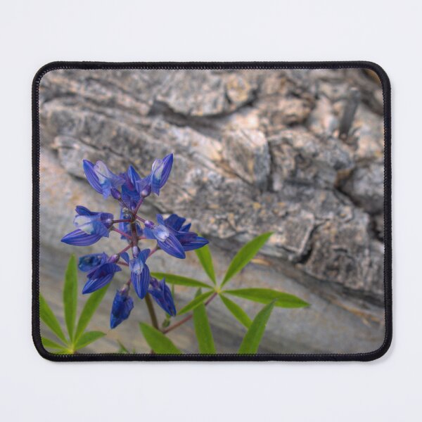 Item preview, Lupine and Fallen Log designed and sold by mahnkephotos.