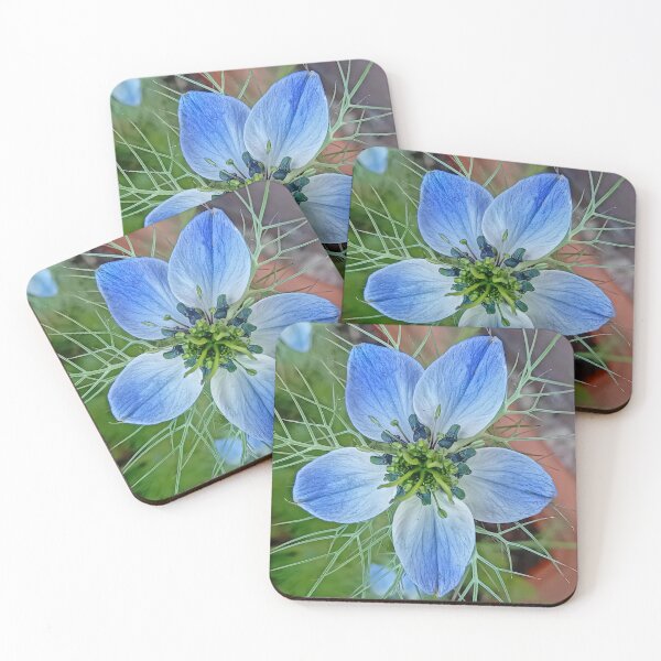 Item preview, Love in a Mist (Nigella Damascena), May 2025 designed and sold by RedHillDigital.