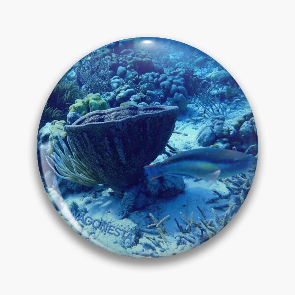 Item preview, Underwater - Beauty Underwater in Bonaire by Wagonesta  designed and sold by Wagonesta.