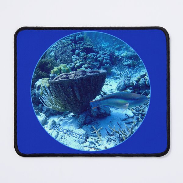 Item preview, Underwater - Beauty Underwater in Bonaire by Wagonesta designed and sold by Wagonesta.