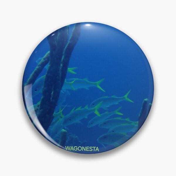 Item preview, Underwater - School of Fish in Bonaire by Wagonesta  designed and sold by Wagonesta.