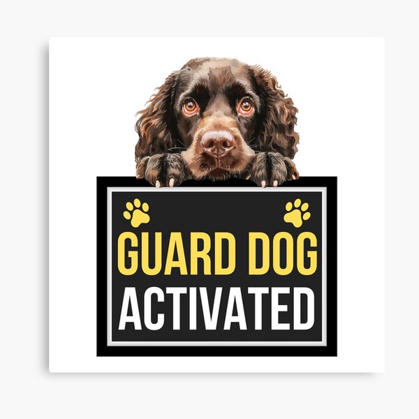 Item preview, American Water Spaniel Guard Dog Activated designed and sold by ChaosReigns91.