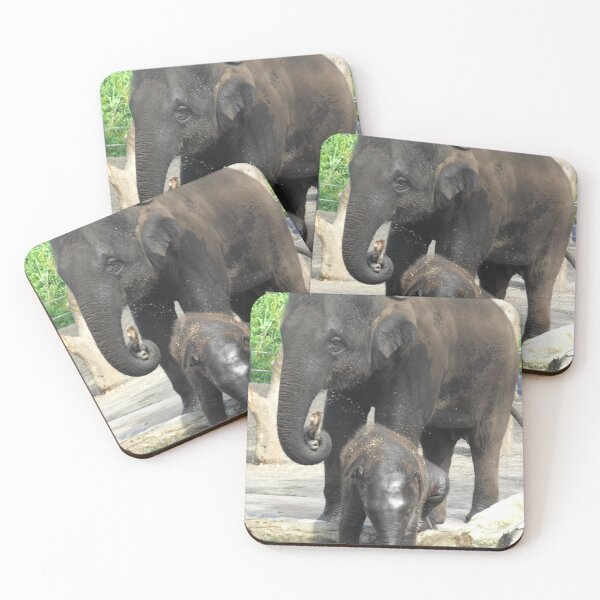 Item preview, Pathi Harn designed and sold by Kymbo.
