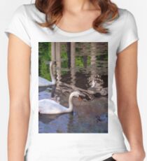 Swans, Evening swim. Women's Fitted Scoop T-Shirt