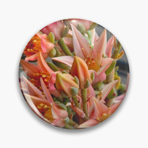 Item preview, Succulent Blooms in Full Glory designed and sold by Betsy Phillips.