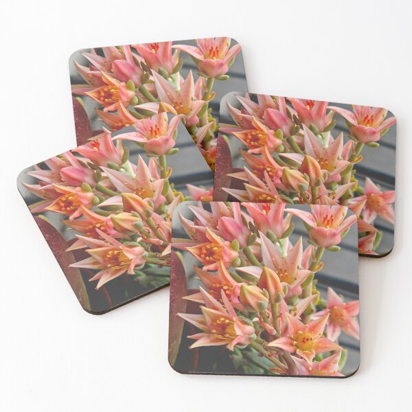 Item preview, Succulent Blooms in Full Glory designed and sold by Betsy Phillips.