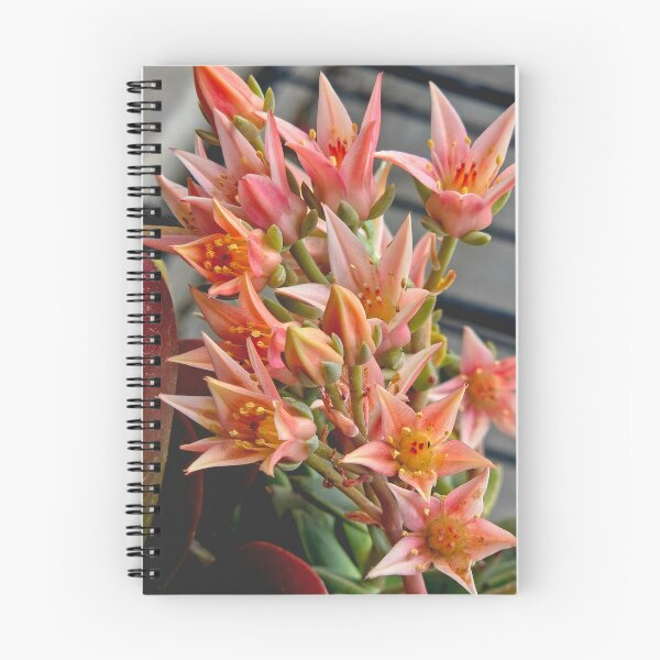 Item preview, Succulent Blooms in Full Glory designed and sold by Betsy Phillips.
