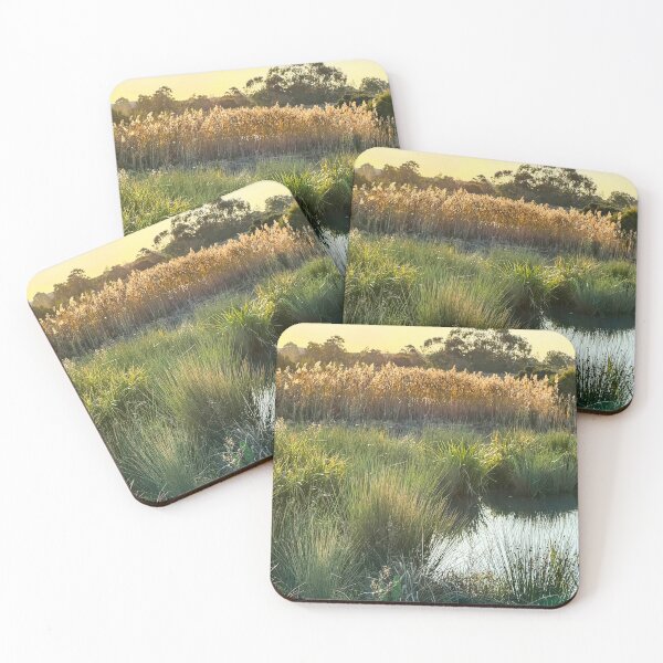 Item preview, Wetlands designed and sold by polyhymnia14.