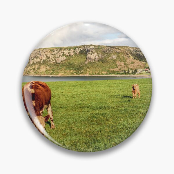 Item preview, Dairy Cows Grazing with Stanley Nut Tasmania designed and sold by taspaul.