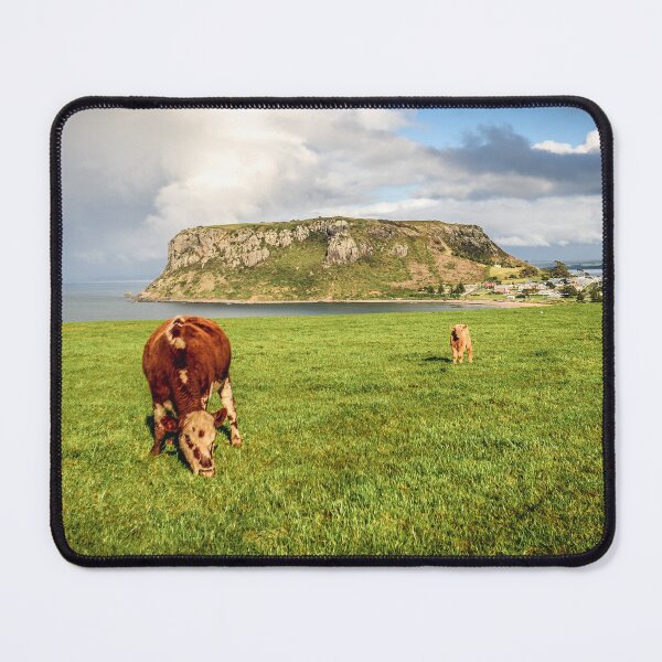 Item preview, Dairy Cows Grazing with Stanley Nut Tasmania designed and sold by taspaul.