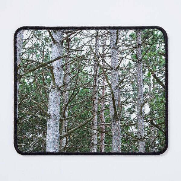Item preview, Trees designed and sold by WilfuerM.