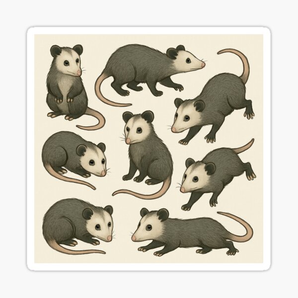 Item preview, Possums designed and sold by CosmicGrant.