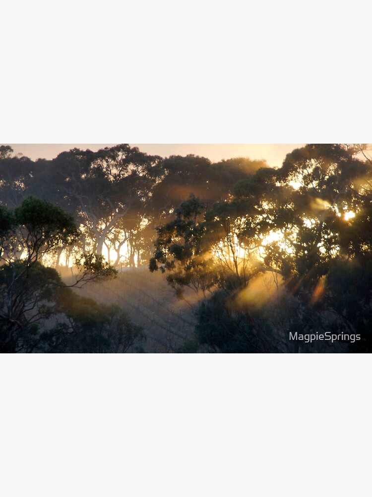 Thumbnail 3 of 3, Sticker, Sunrise on Bennys Hill by Adelaide artist Avril Thomas at Magpie Springs designed and sold by MagpieSprings.